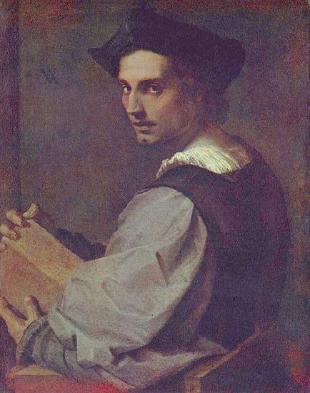 Andrea del Sarto Portrat eines jungen Mannes oil painting image